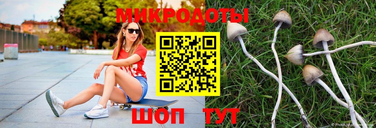 Галлюциногенные грибы Psilocybe  Вход с VPN  Калач-на-Дону 