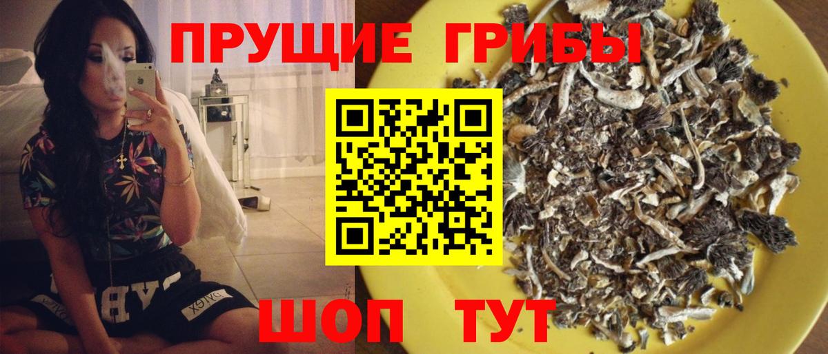 Галлюциногенные грибы прущие грибы Калач-на-Дону